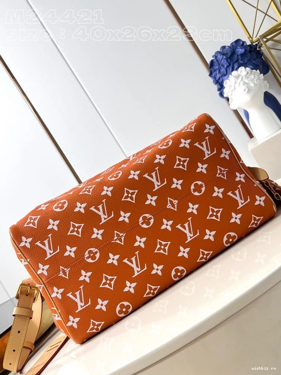 WIS SPEEDY Louis Vuitton 40 0307